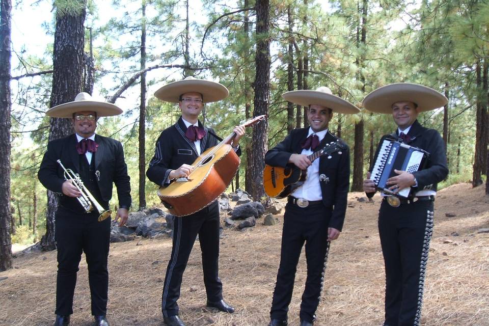 Mariachi América