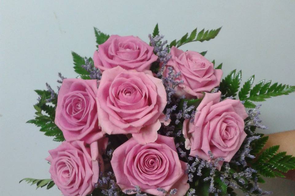 Rosas rosas