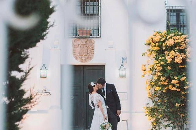 Novios eternos