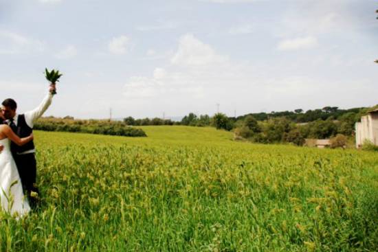 En el campo