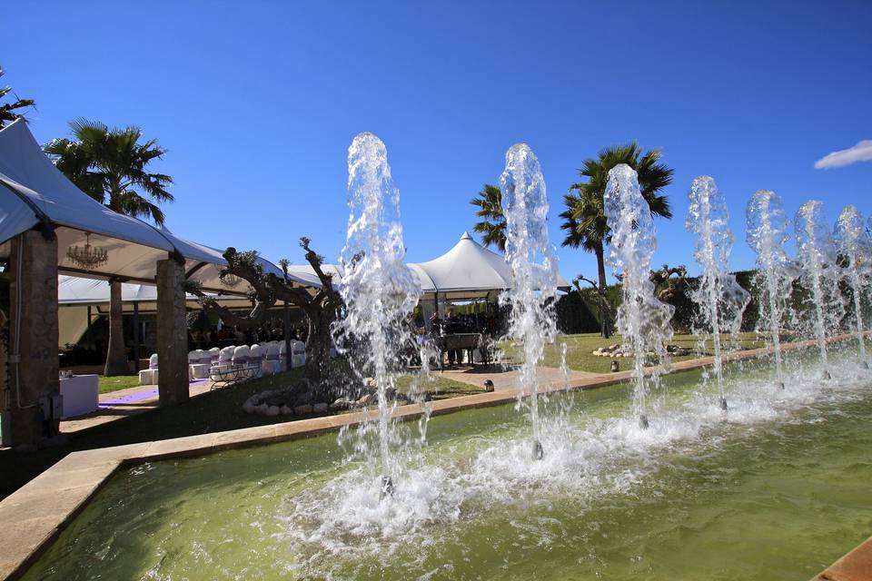 Carpa en jardín