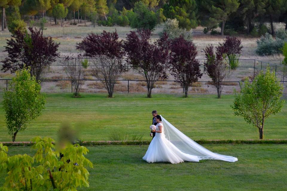 Novios paseando