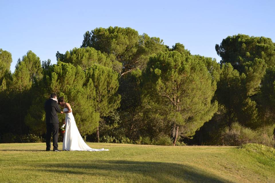 Novios en las terrazas