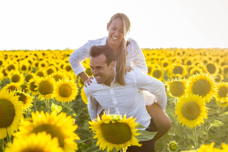 Preboda con girasoles