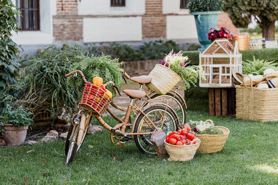 Alacena Catering Finca Güell