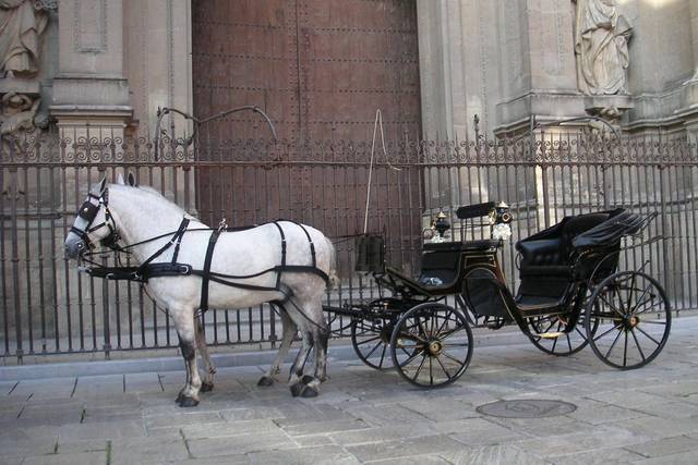 Ángel Cobos - Coches de caballos