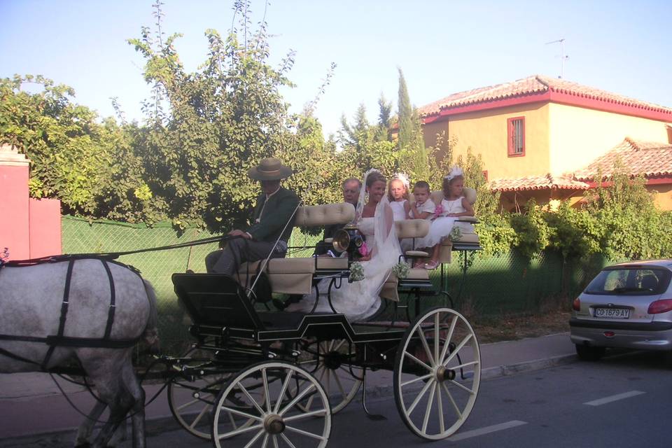 Boda rociera