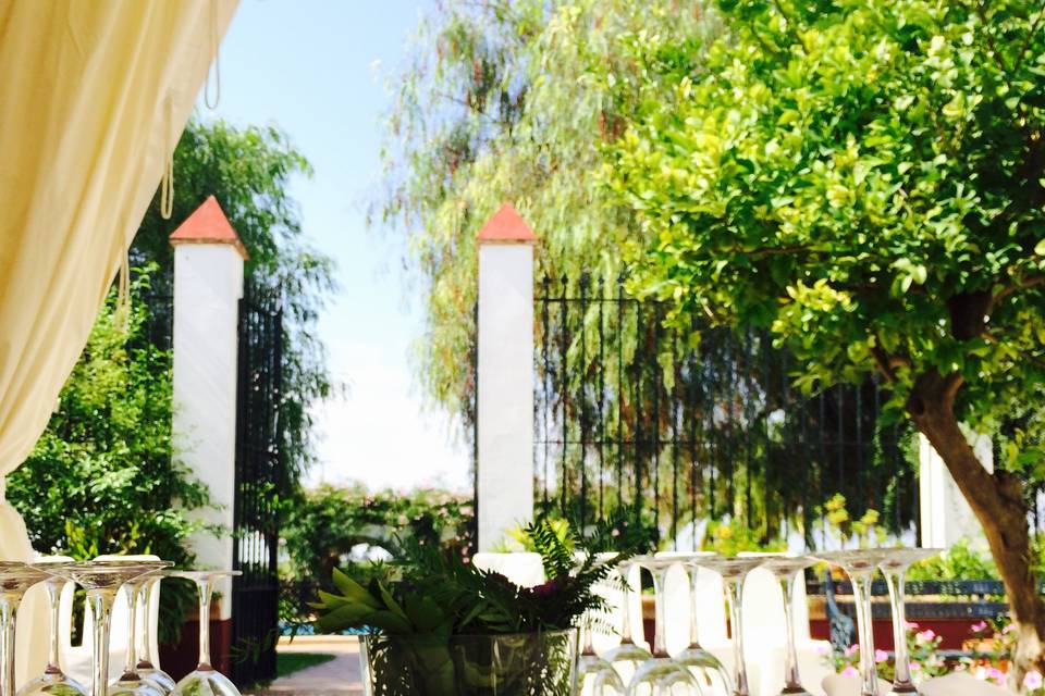 Patio del Señorío