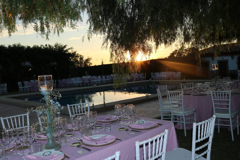 Cenas en nuestro jardín