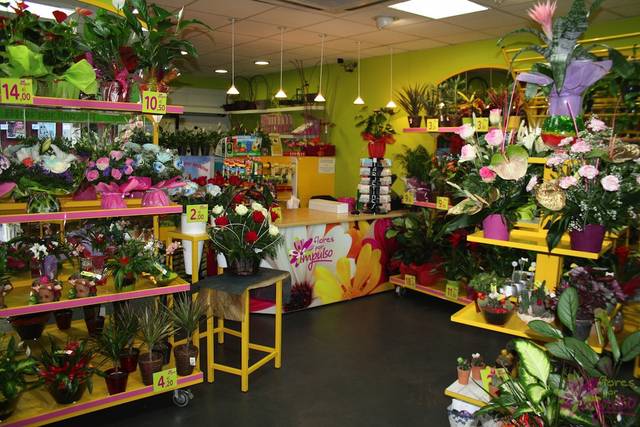 Interior de la tienda