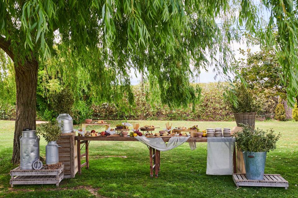 Buffet de quesos