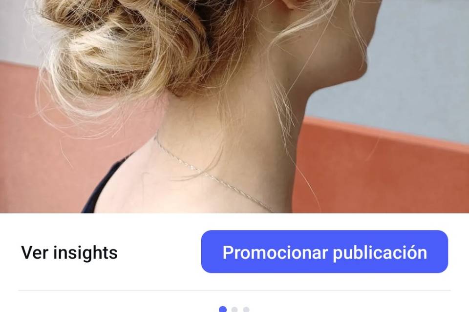 Recogido trenza