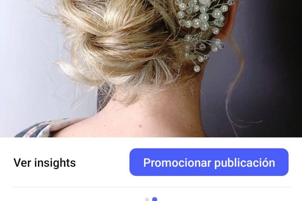 Recogido elegante