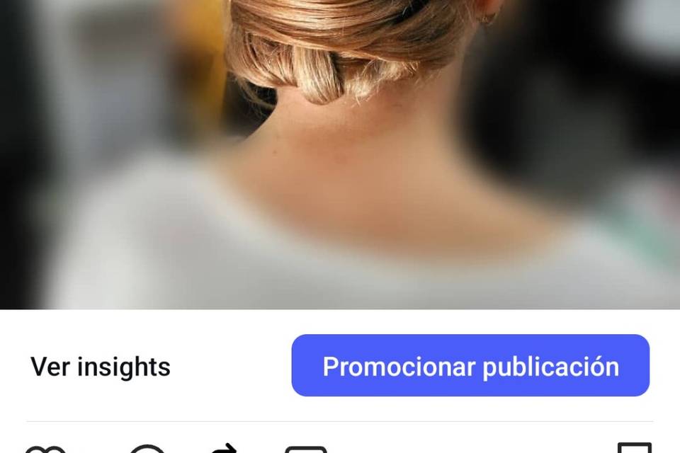 Recogido elegante