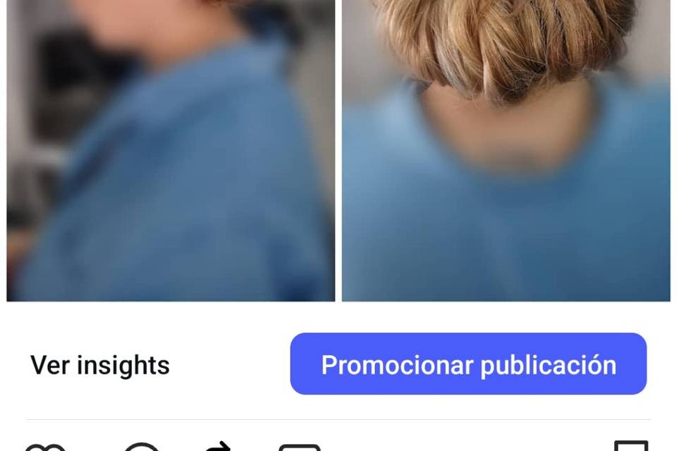 Recogido bajo