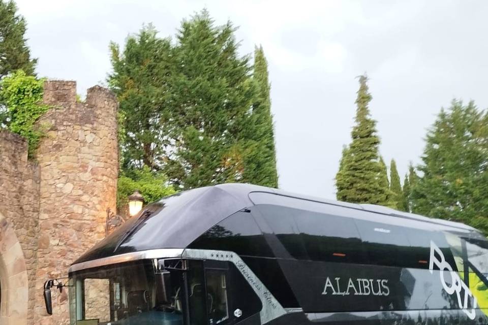 Alaibus