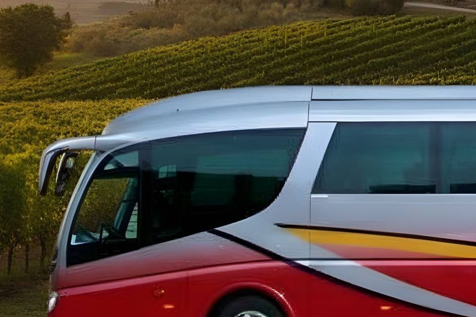 Alaibus