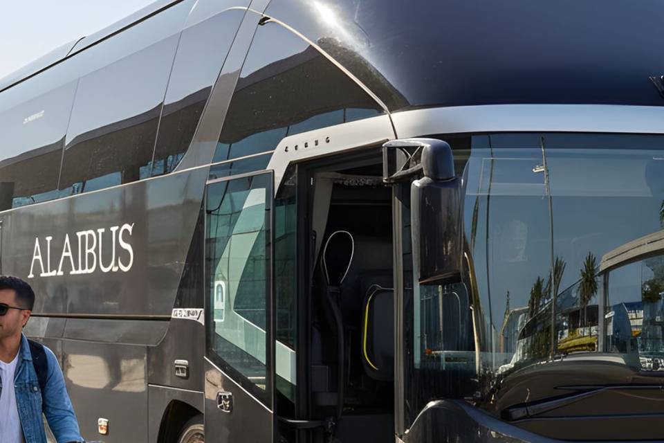 Alaibus