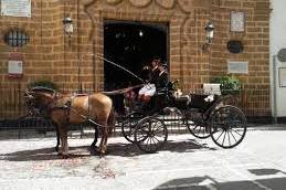 Carruajes de caballos