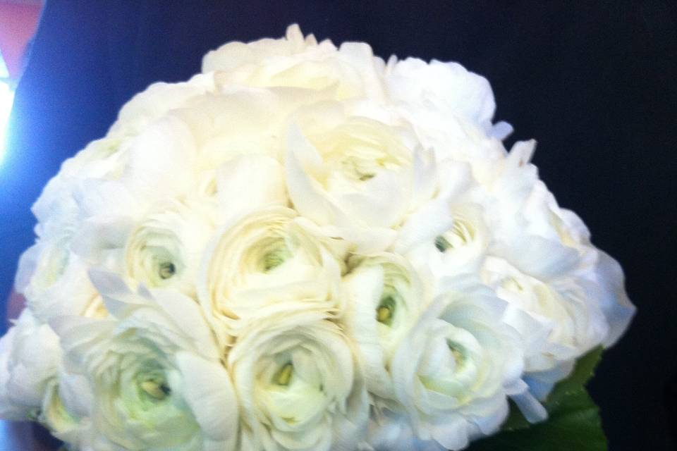 Bouquets de ranúnculos blancos