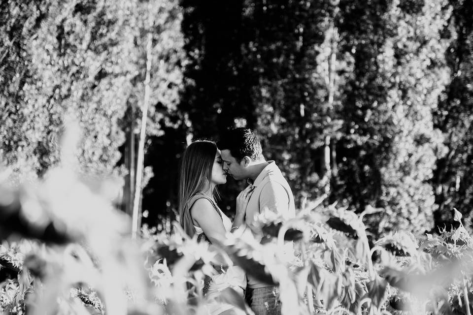 Besos