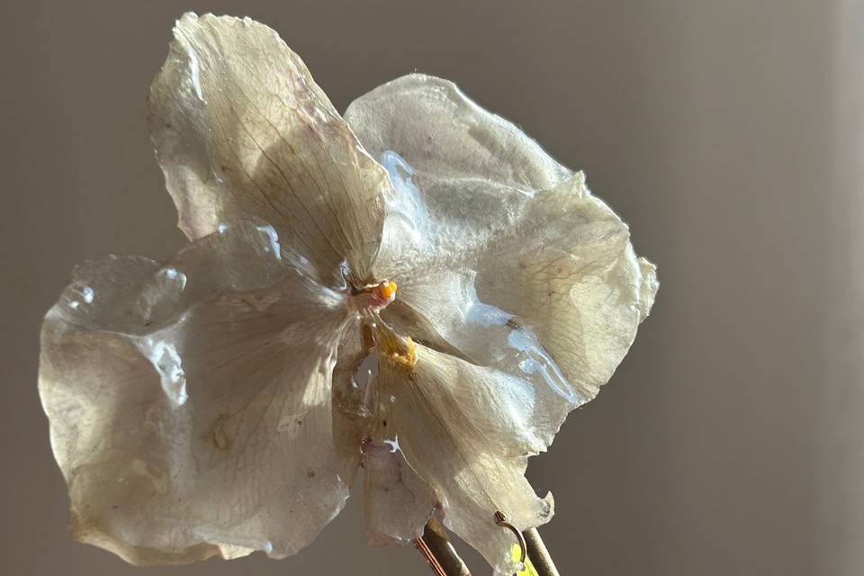 Pinza para el cabello orquídea