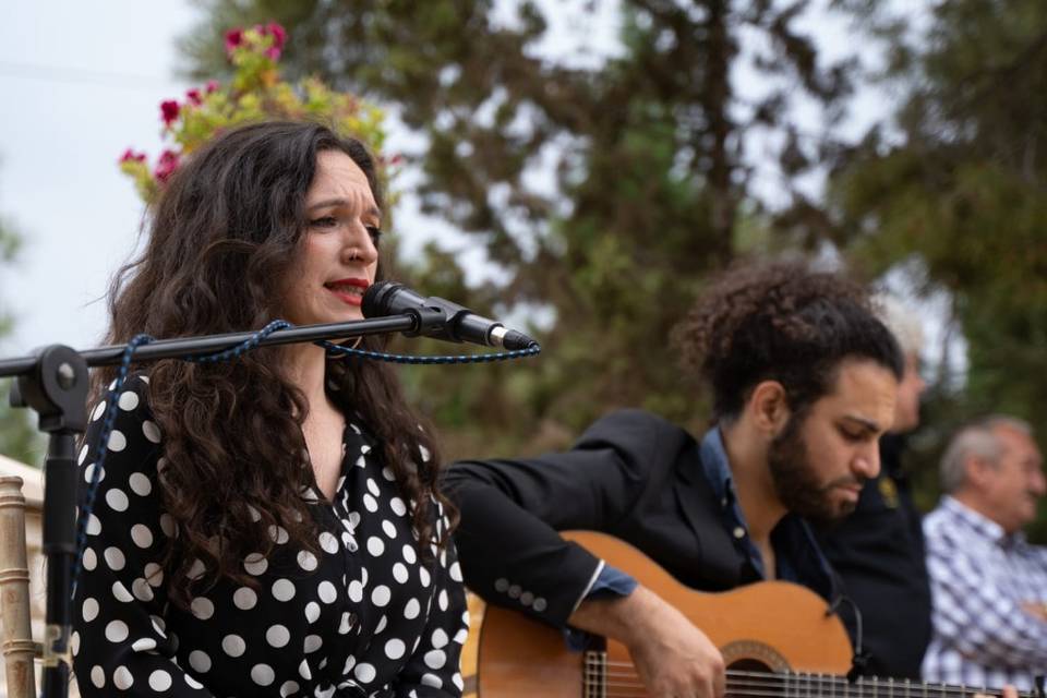 Cante y guitarra