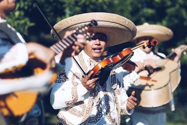 Mariachi Vigo