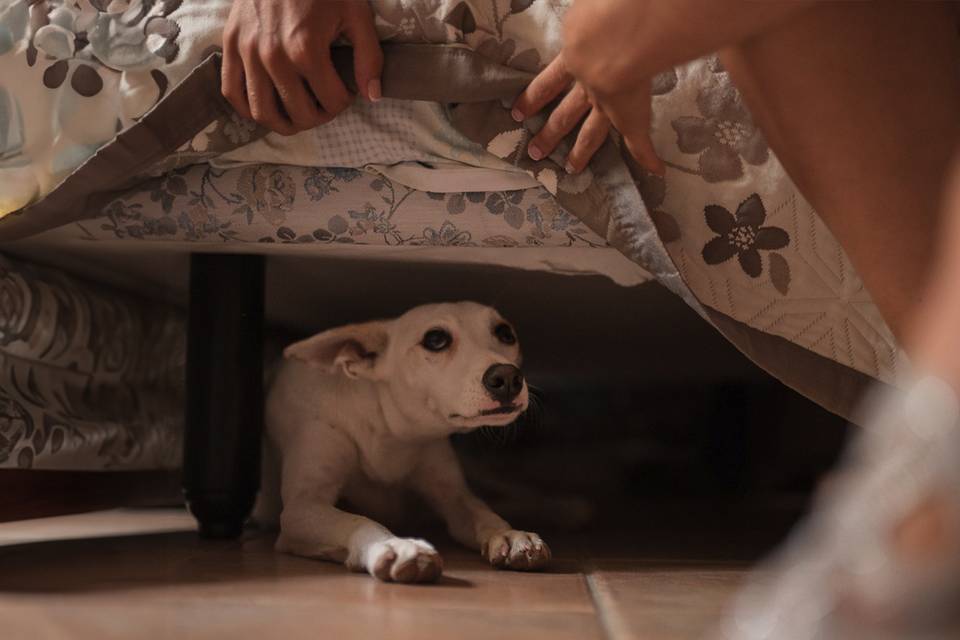 La mirada de la madre