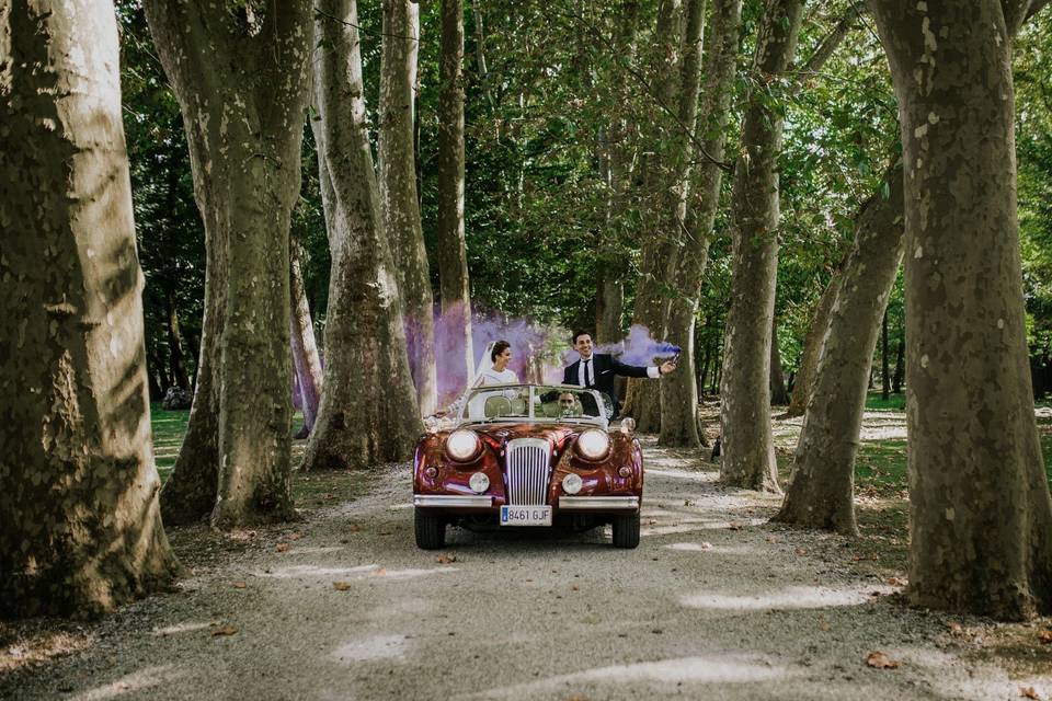 Camino de los árboles