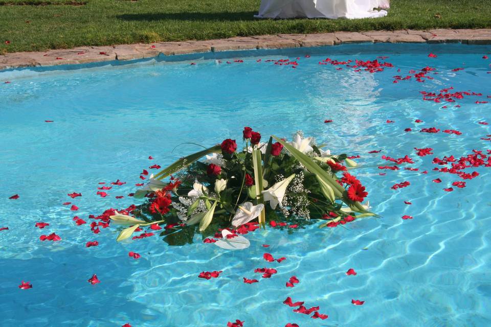 Centros flotantes en piscina