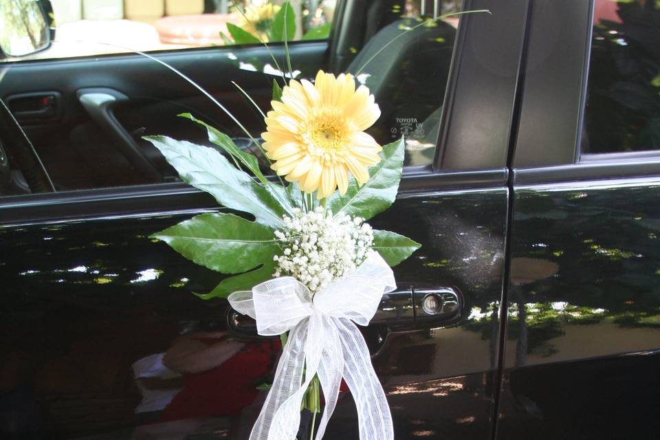 Detalle de las puertas del coche de novios