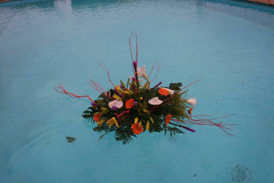 Centros flotantes en piscina