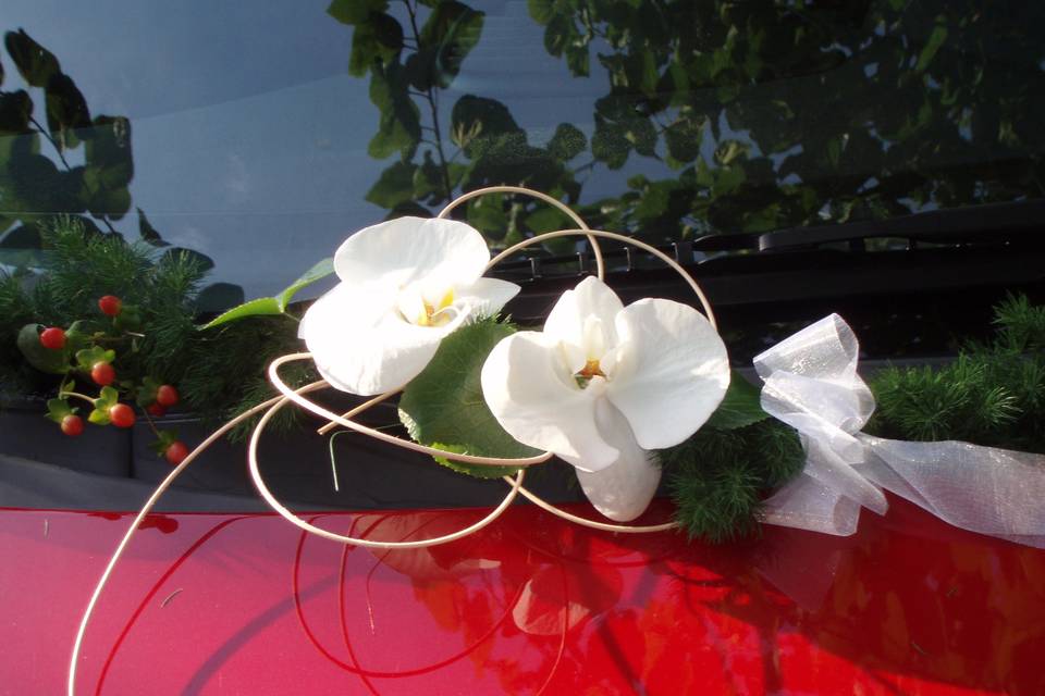 Detalle en orquídeas en coche