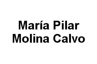 María Pilar Molina Calvo