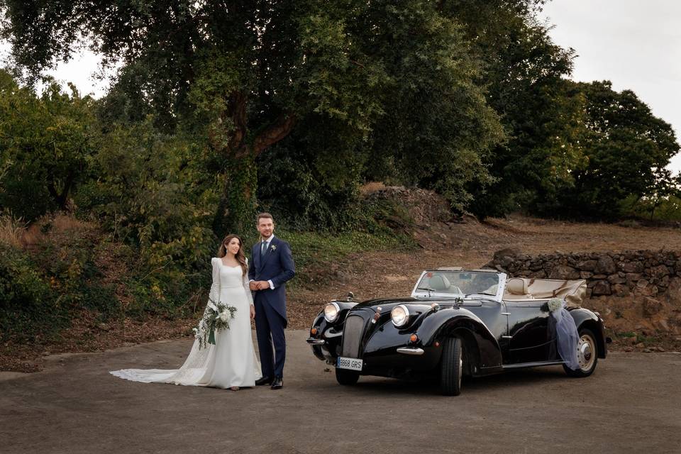 Novios