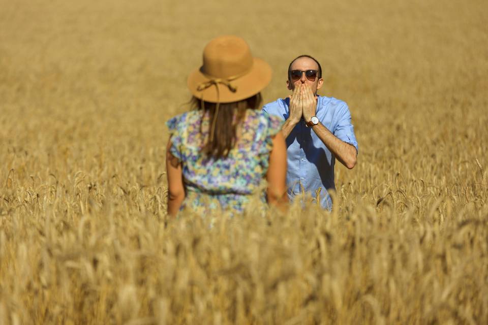 Preboda en verano