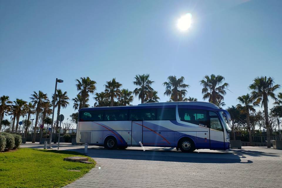 Playas de Valencia