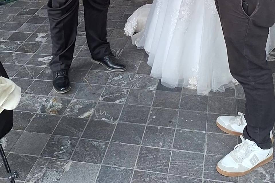 LOS NOVIOS Y EL PINTOR
