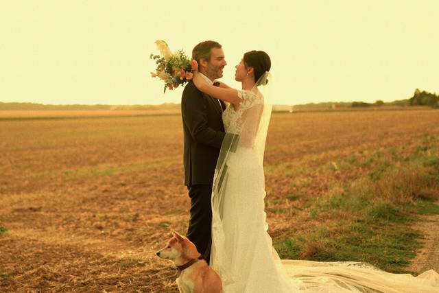 Bellinizio Films