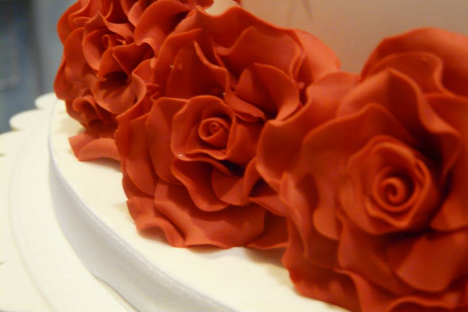 Detalle de las rosas