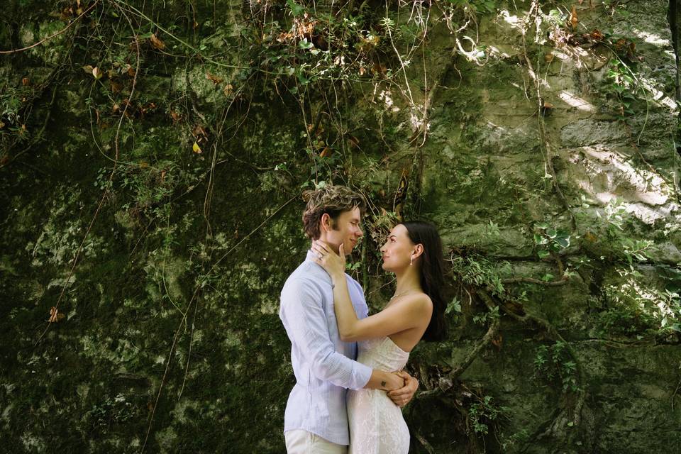 Visual Birds Photography