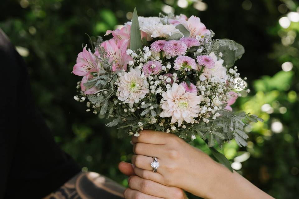 Visual Birds Photography