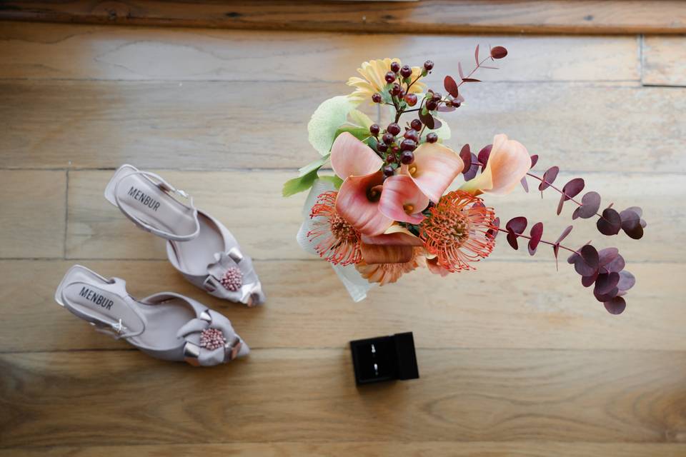 Visual Birds Photography