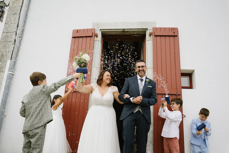 Visual Birds Photography