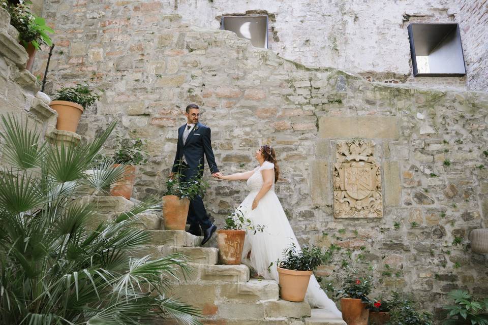 Visual Birds Photography