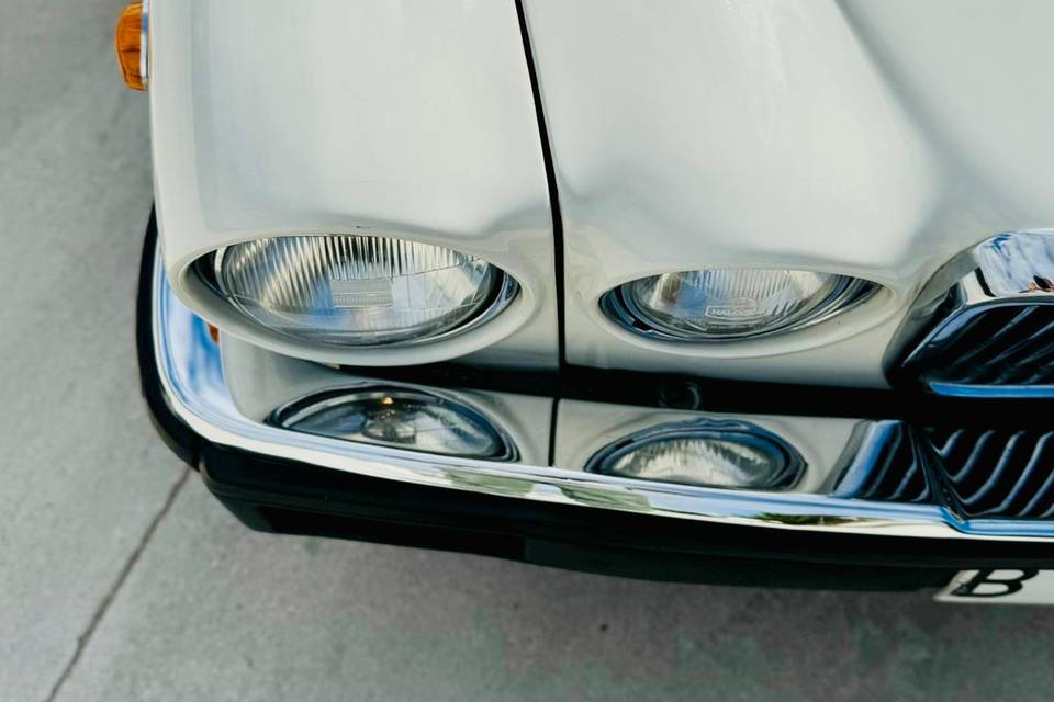 Jaguar clásico 1982