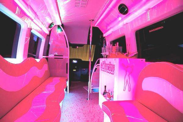 Disco mini bus 16 plazas rosa
