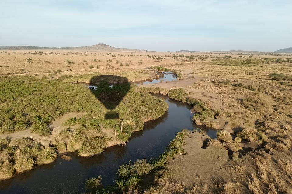 Vuelo en Globo Serengueti