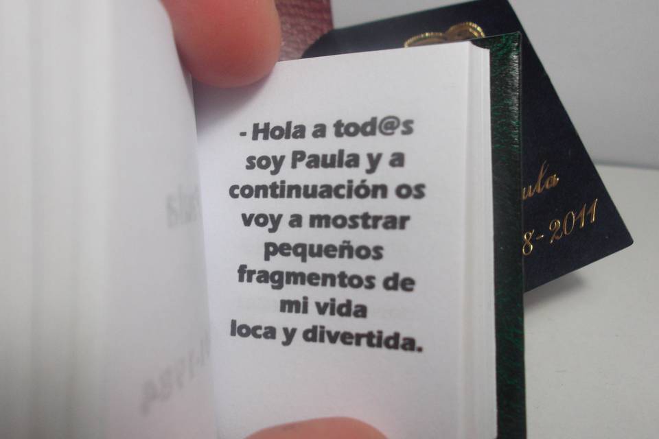 Libros en miniatura